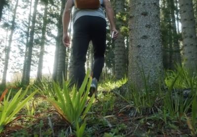 wim_vid_hiking